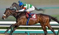 3歳牡馬なら連対率100％!? C.ルメール騎手が毎日王冠3勝目へシックスペンスと挑む