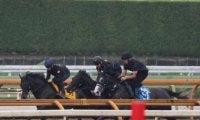 ハーパーなど、府中牝馬S1週前追い切り速報/栗東トレセンニュース