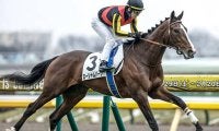 祖母に名牝エアグルーヴを持つ血統馬 毎日王冠で秋の大舞台に弾みをつける勝利なるか