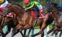川田将雅騎手が4年ぶり京都大賞典Vへ 8戦連続タッグの重賞2勝馬と参戦