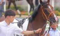 意外にもモーリス産駒で重賞未勝利 堀宜行厩舎が前走6馬身Vの1億円馬とサウジアラビアRCに挑む