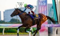 【大井・東京盃注目馬】伝統の短距離重賞 JpnI馬2頭を含む実績馬集結