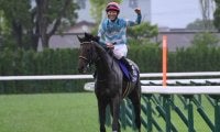 【京都大賞典枠順確定】ブローザホーンは8枠11番、プラダリアは7枠8番