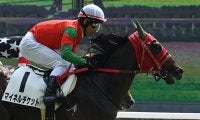 【サウジアラビアRC予想】そうそうたる馬が勝ち馬に名を連ねる出世レース！ 高期待値は前走新馬戦組