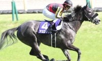 NHKマイルなど重賞3勝アエロリットの半弟 C.ルメール騎手を鞍上に姉に続く初陣Vへ