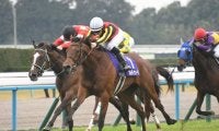【府中牝馬S想定馬・騎手】ブレイディヴェーグ、ミッキーゴージャスなど