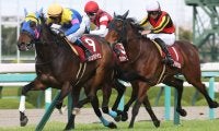 サウンドビバーチェの競走馬登録抹消
