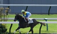 【京都4R新馬戦結果】フロステッド産駒のドラゴンウェルズが9馬身差圧勝
