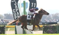 凱旋門賞の「過去20年の勝ち馬の血統」からわかる狙い目　日本馬シンエンペラーの相性は？