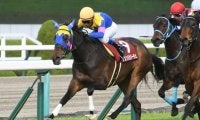 23年阪神牝馬Sを制したサウンドビバーチェが登録抹消 三嶋牧場で繁殖入り
