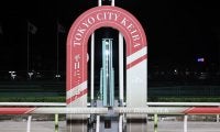 馬単190円の配当！大井競馬で2頭立てレースの珍事