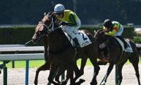 【京都4R新馬戦結果】リオンディーズ産駒インフローレが人気に応えてV