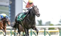 【東京ハイJ想定騎手】ジューンベロシティは高田潤騎手、ニシノデイジーは五十嵐雄祐騎手