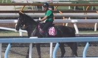 母は秋華賞馬ディアドラ 師も楽しみな初仔シオーグが月曜東京で初陣/関西馬メイクデビュー情報