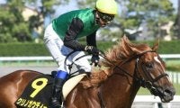 【先週のJRA抹消馬】“幻のGI馬”ことクリノガウディー、22年浦和記念の覇者クリノドラゴンなど