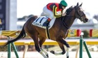 【府中牝馬S展望】前走がオープン特別の馬に妙味あり