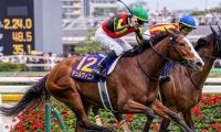 桜花賞馬とオークス馬の秋華賞ワンツーの可能性は低い!? データ的に有利なのは…