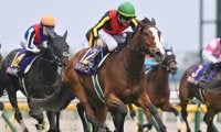 【秋華賞出走馬・騎手確定】チェルヴィニア＆C.ルメール騎手、ステレンボッシュ＆戸崎圭太騎手など15頭