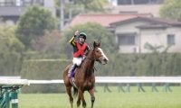 【今日の注目ポイント】牝馬三冠の最終決戦・秋華賞