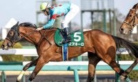 【秋華賞予想】3歳牝馬が最後の冠をかけ淀に集う 内回りに対応できる器用さと瞬発力がカギ