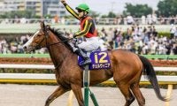 【秋華賞・馬体重】チェルヴィニアは490kg(+8)、ステレンボッシュは468kg(+10)