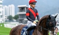 【富士S登録馬】セリフォス、ソウルラッシュなど17頭