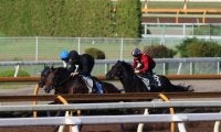セレクト1歳で2億7000万円 パーティハーンが京都で初陣/関西馬メイクデビュー情報