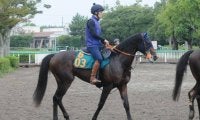セレクト3億超の良血馬が初陣 半兄にGIホースがいるキングノジョー/関東馬メイクデビュー情報