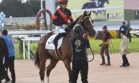 【菊花賞展望】折り合いが難しい条件だけに継続騎乗が理想