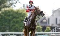 菊の主役は東の“レジェンド” 横山典騎手がダービー馬で26年ぶりV狙う