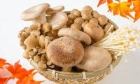 秋の味覚「きのこ」の効果効能