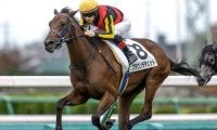 【アルテミスS想定馬・騎手】ブラウンラチェット、シホリーンなど11頭