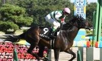 【競馬血統予想】菊花賞で注目はキングカメハメハ系　過去10年のデータから穴馬２頭をピックアップ