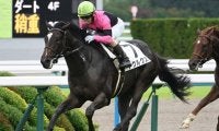【京都5R新馬戦結果】イスラボニータ産駒アクルクスが抜け出し快勝