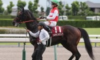 【競馬予想】菊花賞で激走する馬には法則がある--過去10年の傾向から導いた穴馬２頭