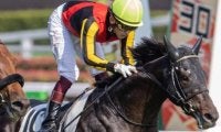半兄に日本ダービー馬＆皐月賞馬 フィヤールが坂井瑠星騎手でデビュー勝ち狙う