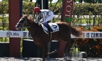 【京都3R新馬戦結果】ナダル産駒フェデラーが大差勝ち