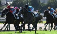【京都5R新馬戦結果】キタサンブラック産駒ヤマニンブークリエがゴール前で差し切りV