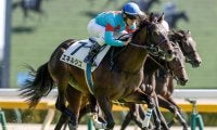 【東京5R新馬戦結果】ドゥラメンテ産駒エネルジコが初陣飾る