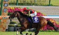 三冠牝馬リバティアイランドなどが登場する天皇賞(秋)など3重賞/今週の競馬界の見どころ