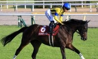 【先週のJRA抹消馬】重賞2勝のマスクトディーヴァ、GIでも好走したルージュエヴァイユなど