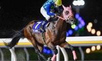 【浦和・埼玉新聞栄冠賞】日本テレビ盃4着のナニハサテオキは2枠2番