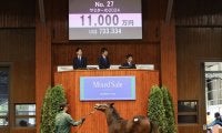 【ミックスセール2024】ダノンチェイサー半妹に1億1000万円…父はキズナ