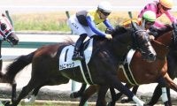 【アルテミスS展望】GI馬続出の出世レース、差し追い込みが決まりやすい