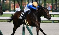 【スワンS出走馬・騎手確定】クランフォード＆西村淳也騎手、スズハローム＆鮫島克駿騎手など17頭