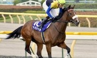 母は3冠牝馬、半姉もGI馬 超良血馬がC.デムーロ騎手で新馬勝ちなるか