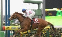 【競馬血統予想】天皇賞・秋の狙いはモーリス産駒とキタサンブラック産駒「父仔制覇」に期待の２頭