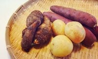 じゃがいも＆さつまいも…誰もが大好き！秋の味覚の王様がもつ効果効能とは？