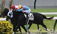 【京都4R新馬戦結果】ゴールデンクラウドが人気2頭の一騎打ちを制す