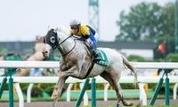 今週末は天気下り坂 JRA4重賞で注目したい重馬場巧者は？